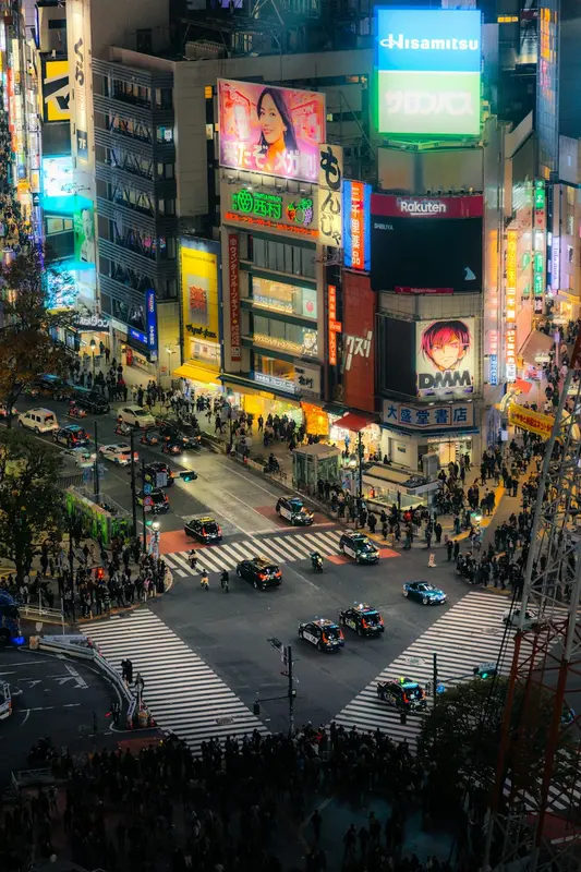 Terry.Tokyo Premium Domain